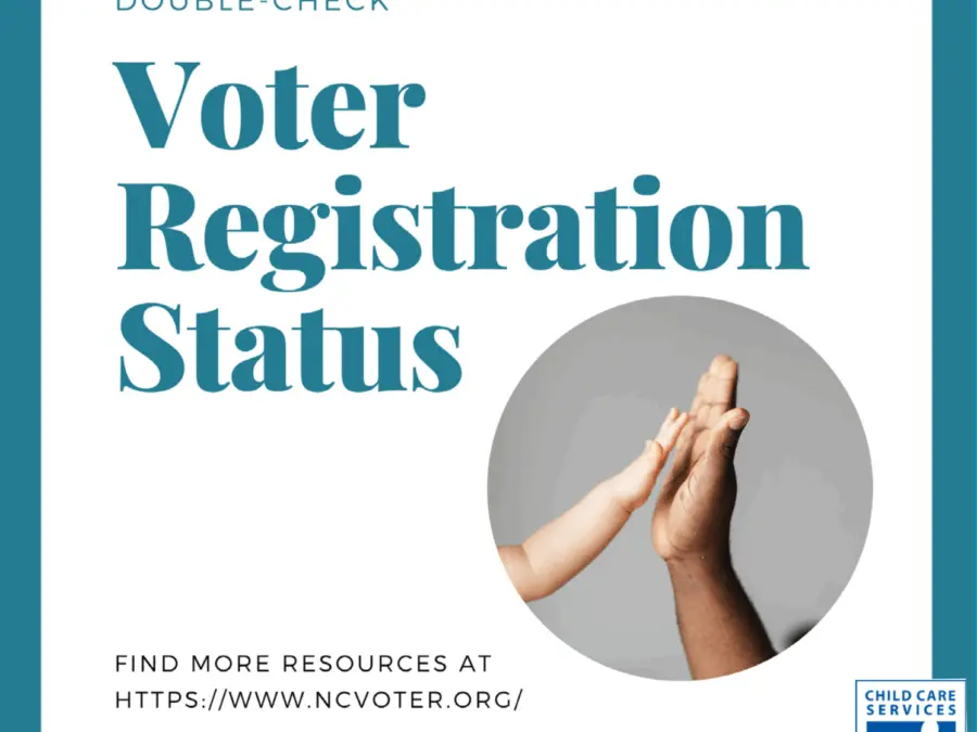 Double-Check-Voter-Registration-Status.png
