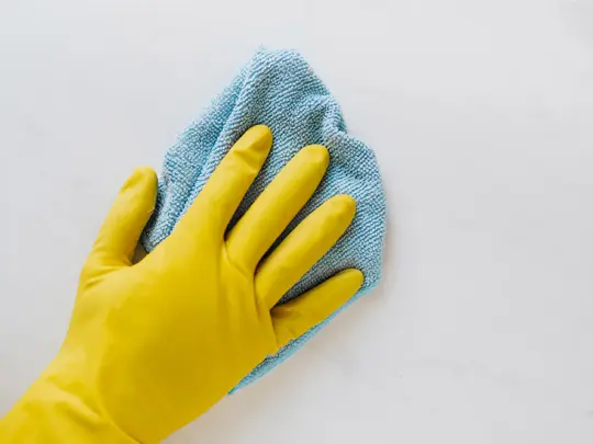 cleaning-with-cloth-and-gloves.jpg
